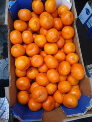 MANDARINES